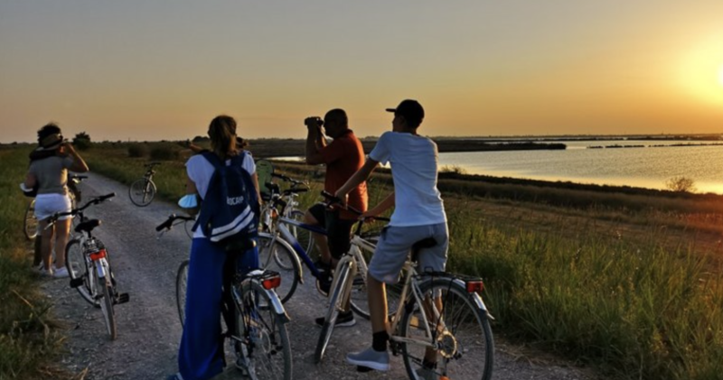 Pedalata dei fenicotteri al tramonto